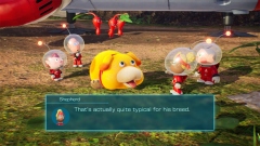Nintendo �������� ������� ���������� ���������� ��� ������������� ��������� Pikmin 4