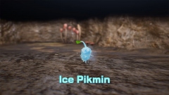 Nintendo �������� ������� ���������� ���������� ��� ������������� ��������� Pikmin 4