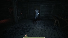 Pilgrim of Darkness       ,      