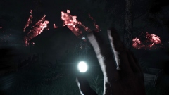 Pilgrim of Darkness       ,      