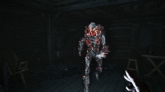 Pilgrim of Darkness       ,      