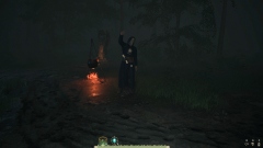 Pilgrim of Darkness       ,      