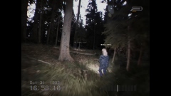 DON'T SCREAM TOGETHER – кооперативный хоррор с фотореалистичной графикой и необычными условиями выживания DON'T SCREAM TOGETHER – кооперативный хоррор с фотореалистичной графикой и необычными условиями выживания