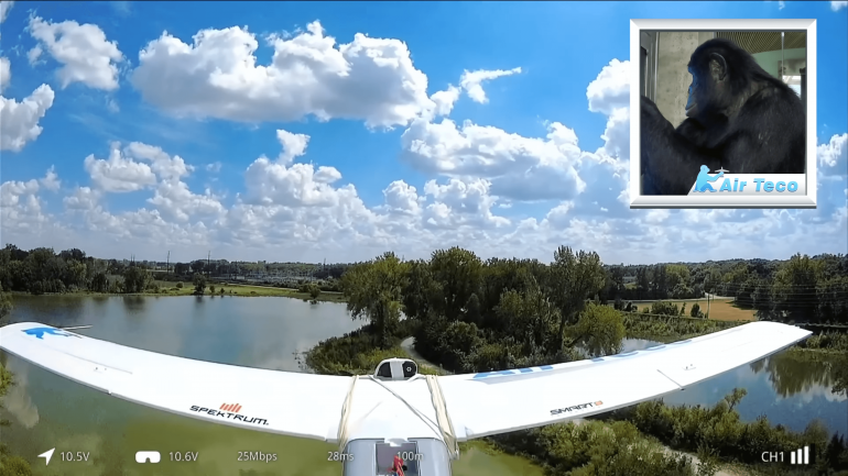 Обезьяна прошла авиатренировки в Minecraft и научилась управлять настоящими самолетами Обезьяна прошла авиатренировки в Minecraft и научилась управлять настоящими самолетами