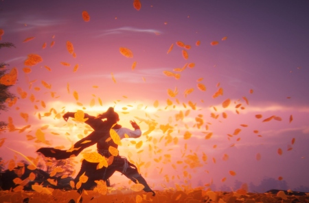  Steam        Where Winds Meet     X 