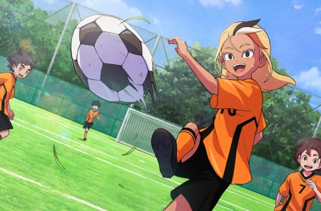   FIFA  FC. Inazuma Eleven: Victory Road     