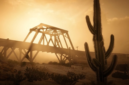      Red Dead Redemption 2    