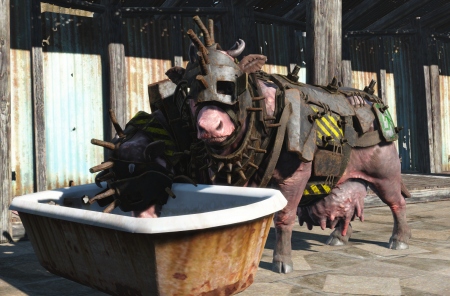 Bethesda  Fallout 4: Anniversary Edition.   ,   