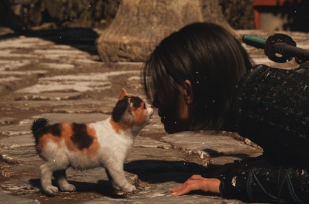 Ubisoft     Assassin's Creed Shadows