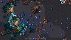  Vampire Survivors  Warhammer Survivors     Warhammer