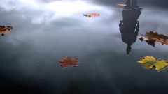  Steam        Where Winds Meet     X 