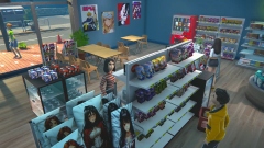 Anime Shop Simulator        