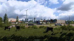 -   .    Euro Truck Simulator 2    Nordic Horizons