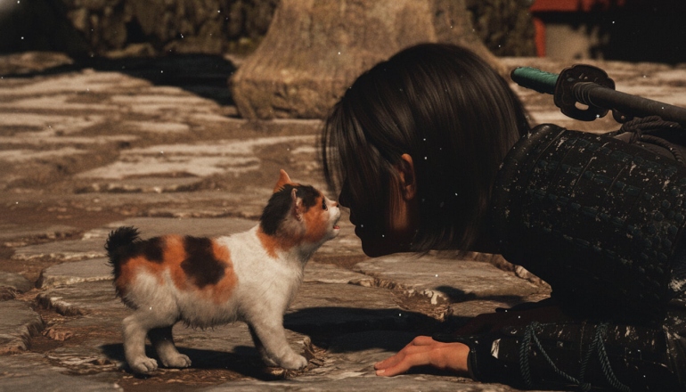 Ubisoft     Assassin's Creed Shadows