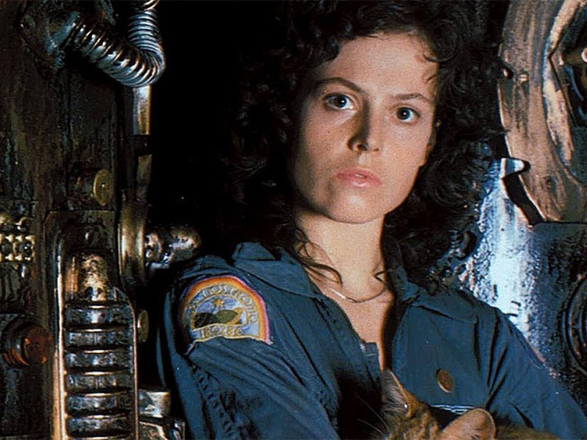   .        Tomb Raider  Amazon