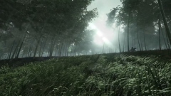   RPG Where Winds Meet       2025 