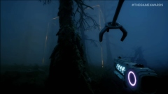 Endnight Games      Forest 3