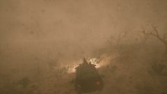 Duneborn � ��������������������� ����� � ���������� � �������������������� ������� � ���������� ���������� �����