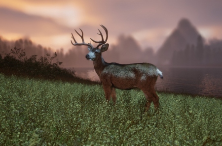 Untamed Kingdom � ��������������������� ��������� ����� �������� � �������� ����� �������