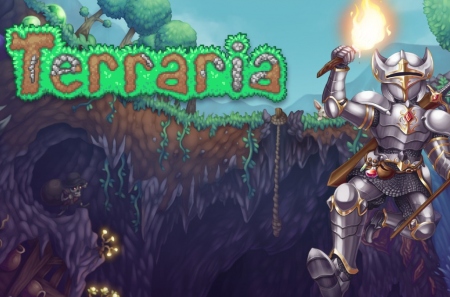 ������������ �������. ��� Terraria �������� ���������� 1.4.5