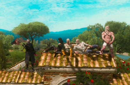 ����� The Witcher Online � ���������������� ��������������������� ����� ��� The Witcher 3