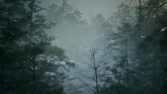 The Defiant � ������������� ����� ��� ����������� ������� �� ��������� ����� �������� �� ����� ������ ������� �����