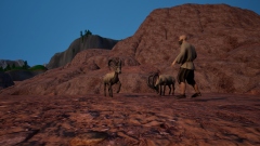 Noah Simulator � ������������� ����� ��� ������������ ���� ������� �����������: �� ������ �� ��������