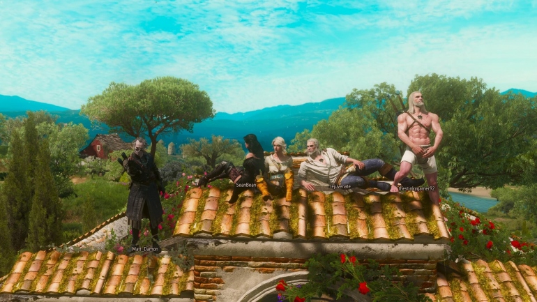 ����� The Witcher Online � ���������������� ��������������������� ����� ��� The Witcher 3