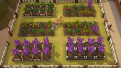 Pao Pao � ������������� ����������� �������� ������ � ��������� ����������������