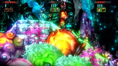 SkullPirates � ������� ����� � �������� �������� � ������� ��������� �������� 