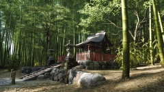 ����������� ����������� � ���� ������ ��������� ���������� Forza Horizon 6