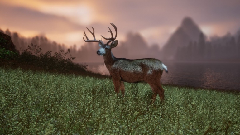 Untamed Kingdom � ��������������������� ��������� ����� �������� � �������� ����� �������