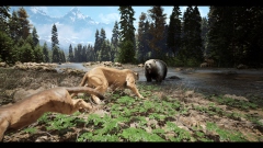 Untamed Kingdom � ��������������������� ��������� ����� �������� � �������� ����� �������