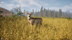 Untamed Kingdom � ��������������������� ��������� ����� �������� � �������� ����� �������