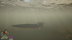 Untamed Kingdom � ��������������������� ��������� ����� �������� � �������� ����� �������