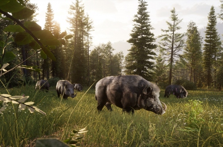 Way of the Hunter 2 � ���������� ��������� ��������� � ����� ������� ��������� �����