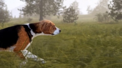 Way of the Hunter 2 � ���������� ��������� ��������� � ����� ������� ��������� �����