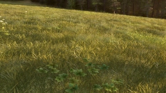 Way of the Hunter 2 � ���������� ��������� ��������� � ����� ������� ��������� �����