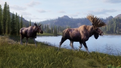 Way of the Hunter 2 � ���������� ��������� ��������� � ����� ������� ��������� �����