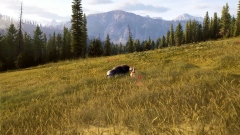 Way of the Hunter 2 � ���������� ��������� ��������� � ����� ������� ��������� �����