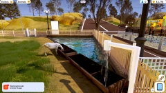 � Steam ������ ������������ ��������� Zoo Life Simulator � ����������� ���������� ��������