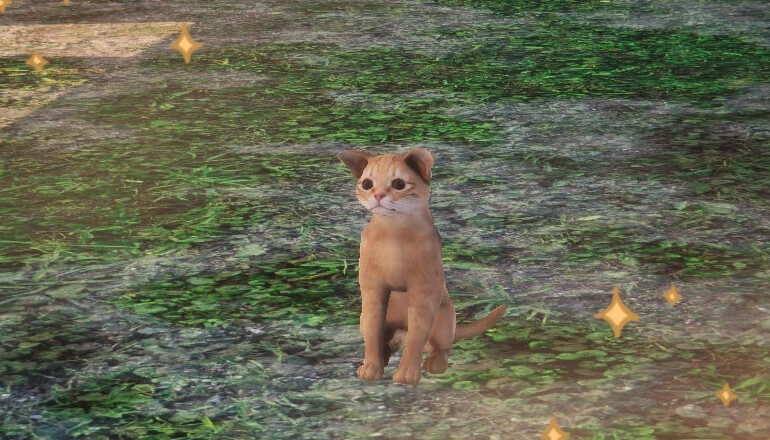 ������ ���������� ������ � Animal Shelter