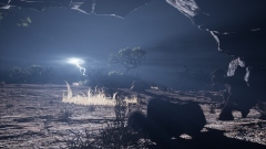 Primal Survival � ������������� ��������� � ��������� ����������� ������ � ���������� ��������