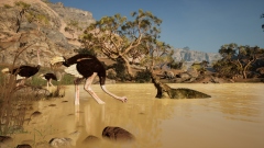 Primal Survival � ������������� ��������� � ��������� ����������� ������ � ���������� ��������