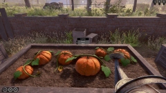 Rancher: A new life � ������������� ��������� ����� � ������� ����� �� ��������� �����