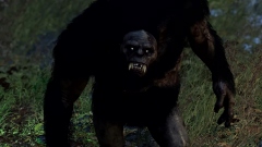 ��� ��������������������� ��������� Fallout 76 ����� ���������� The Backwoods