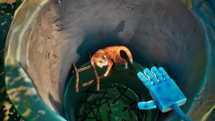 ����������� ����� ��������� Cat Parents ��� �������� ��������� �� �������� ������ �������