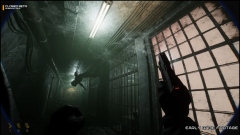 NO BACKUP � ������������� ������ ��� ������ ����������������� � ����� ������������ ����������